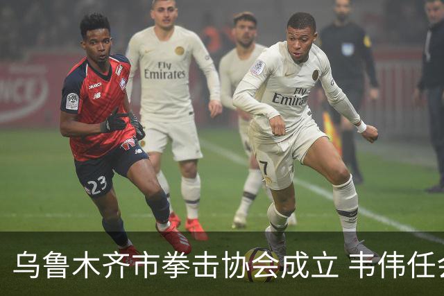 乌鲁木齐市拳击协会成立 韦伟任会长